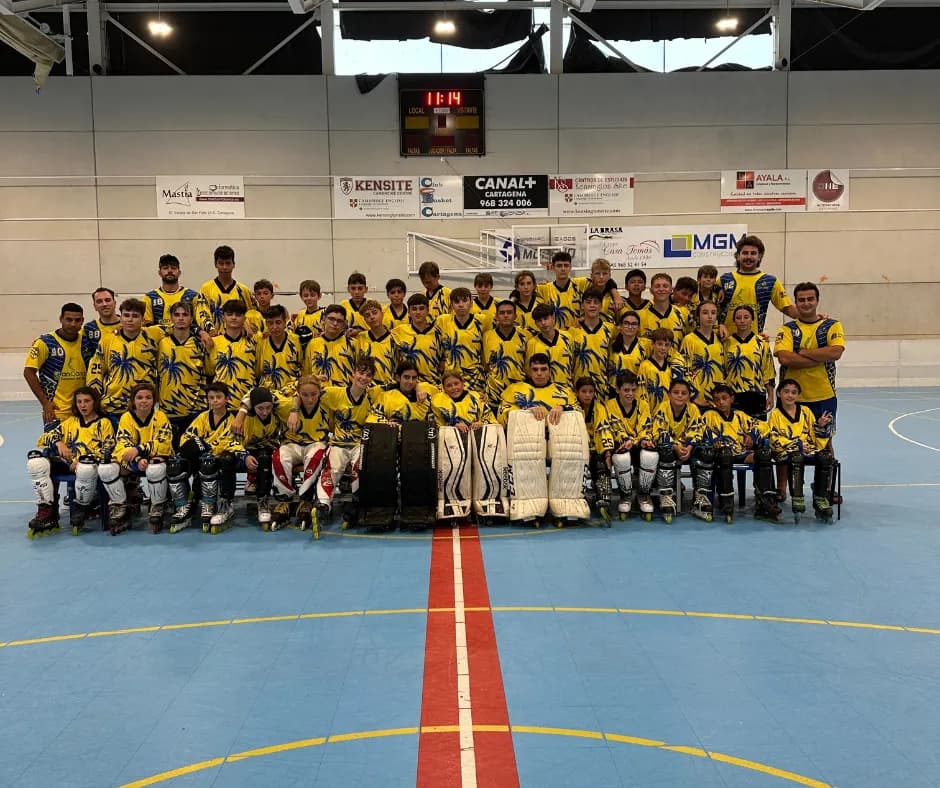 Pro Camp 88 Hockey linea